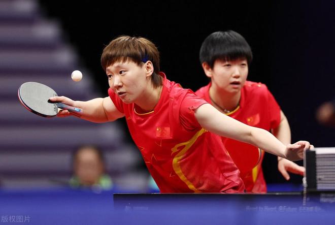 育行业的蓬 育行业的蓬